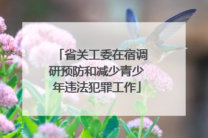 省关工委在宿调研预防和减少青少年违法犯罪工作