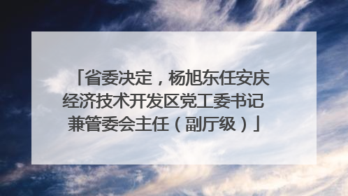 省委决定，杨旭东任安庆经济技术开发区党工委书记兼管委会主任（副厅级）