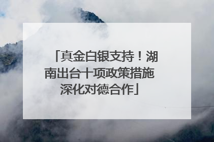 真金白银支持！湖南出台十项政策措施深化对德合作