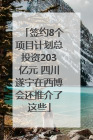签约8个项目计划总投资203亿元 四川遂宁在西博会还推介了这些