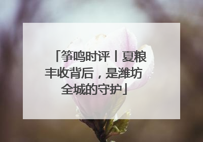 筝鸣时评丨夏粮丰收背后，是潍坊全城的守护