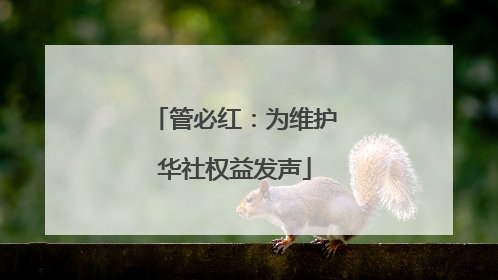 管必红：为维护华社权益发声