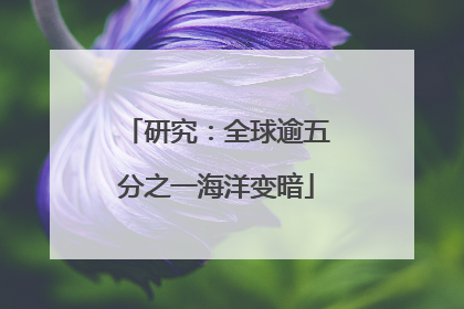 研究：全球逾五分之一海洋变暗