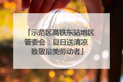 示范区高铁东站地区管委会：夏日送清凉 致敬最美劳动者