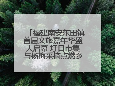 福建南安东田镇首届文旅嘉年华盛大启幕 圩日市集与杨梅采摘点燃乡村振兴新动能
