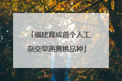 福建育成首个人工杂交早熟黄桃品种