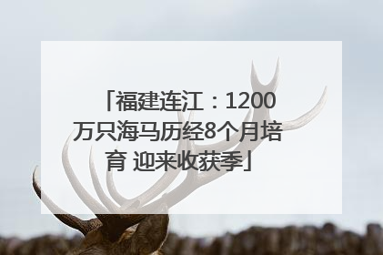 福建连江：1200万只海马历经8个月培育 迎来收获季
