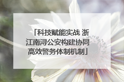 科技赋能实战 浙江南浔公安构建协同高效警务体制机制