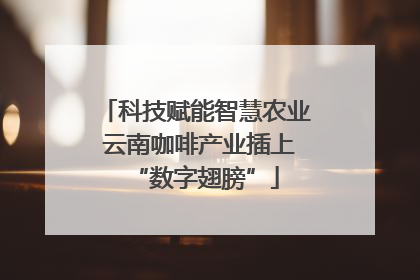 科技赋能智慧农业 云南咖啡产业插上“数字翅膀”