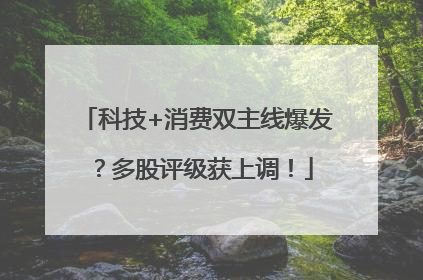 科技+消费双主线爆发？多股评级获上调！