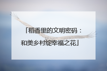 稻香里的文明密码：和美乡村绽幸福之花