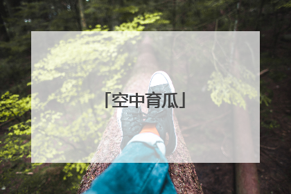 空中育瓜