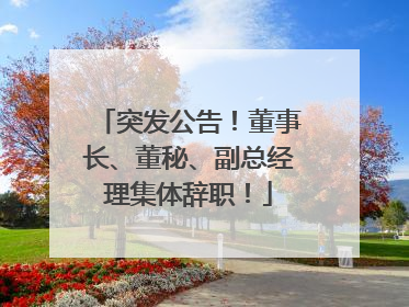 突发公告！董事长、董秘、副总经理集体辞职！