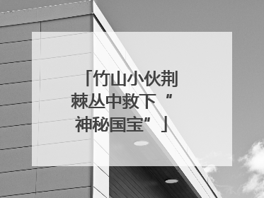 竹山小伙荆棘丛中救下“神秘国宝”