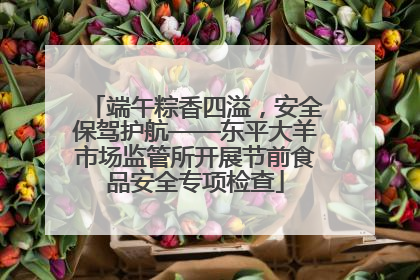 端午粽香四溢，安全保驾护航——东平大羊市场监管所开展节前食品安全专项检查