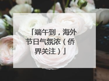端午到，海外节日气氛浓（侨界关注）