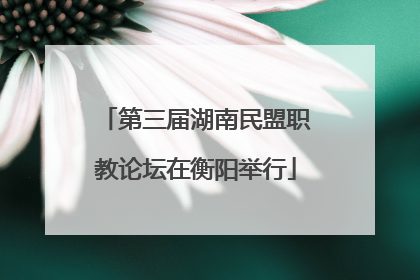 第三届湖南民盟职教论坛在衡阳举行