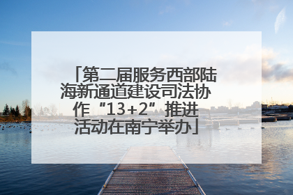 第二届服务西部陆海新通道建设司法协作“13+2”推进活动在南宁举办