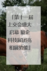 第十一届上交会盛大启幕 厦企科技展团亮相展势能