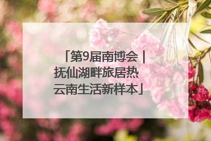 第9届南博会｜抚仙湖畔旅居热 云南生活新样本