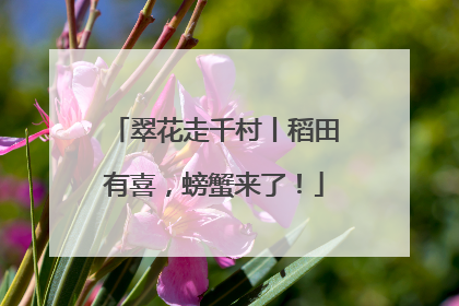 翠花走千村丨稻田有喜，螃蟹来了！