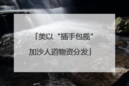 美以“插手包揽”加沙人道物资分发