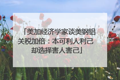 美加经济学家谈美钢铝关税加倍：本可利人利己 却选择害人害己