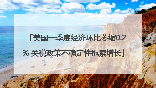 美国一季度经济环比萎缩0.2% 关税政策不确定性拖累增长