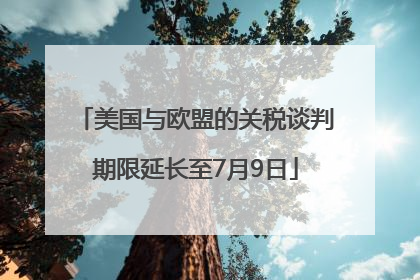 美国与欧盟的关税谈判期限延长至7月9日
