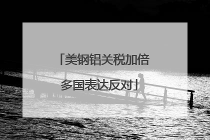 美钢铝关税加倍 多国表达反对