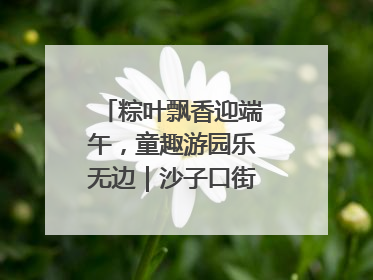 粽叶飘香迎端午，童趣游园乐无边｜沙子口街道儿童端午游园活动圆满落幕