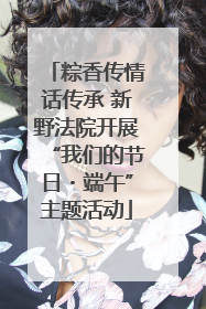 粽香传情话传承 新野法院开展“我们的节日・端午”主题活动