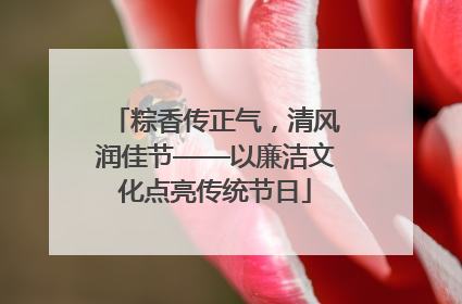 粽香传正气，清风润佳节——以廉洁文化点亮传统节日