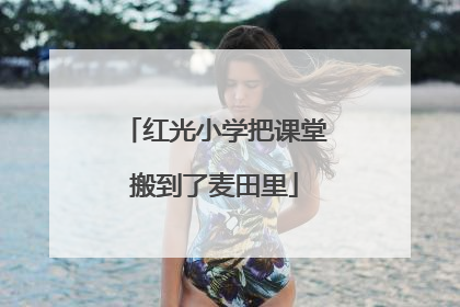 红光小学把课堂搬到了麦田里