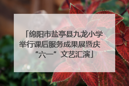 绵阳市盐亭县九龙小学举行课后服务成果展暨庆“六一”文艺汇演