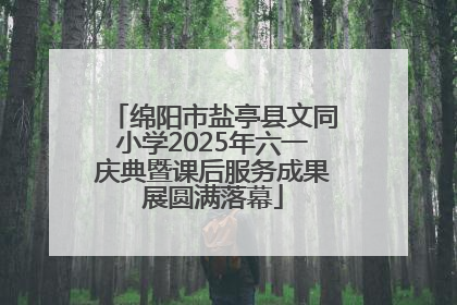绵阳市盐亭县文同小学2025年六一庆典暨课后服务成果展圆满落幕