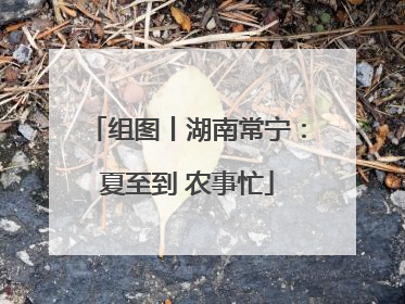 组图丨湖南常宁：夏至到 农事忙