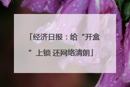 经济日报：给“开盒”上锁 还网络清朗