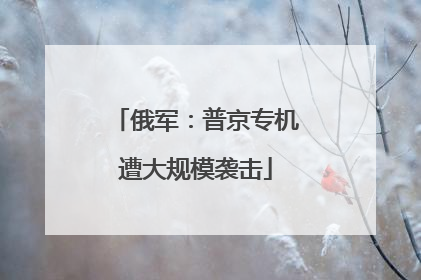 俄军：普京专机遭大规模袭击