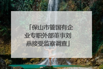 保山市管国有企业专职外部董事刘燕接受监察调查