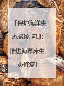 保护海洋生态系统 河北推进海草床生态修复
