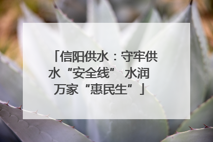 信阳供水：守牢供水“安全线” 水润万家“惠民生”