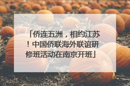侨连五洲，相约江苏！中国侨联海外联谊研修班活动在南京开班