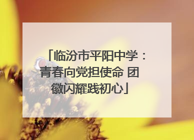 临汾市平阳中学：青春向党担使命 团徽闪耀践初心