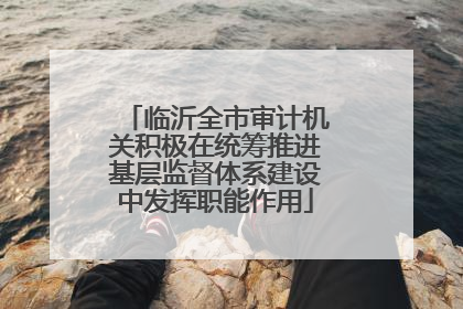 临沂全市审计机关积极在统筹推进基层监督体系建设中发挥职能作用