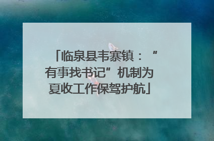 临泉县韦寨镇：“有事找书记”机制为夏收工作保驾护航