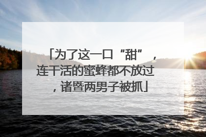 为了这一口“甜”，连干活的蜜蜂都不放过，诸暨两男子被抓