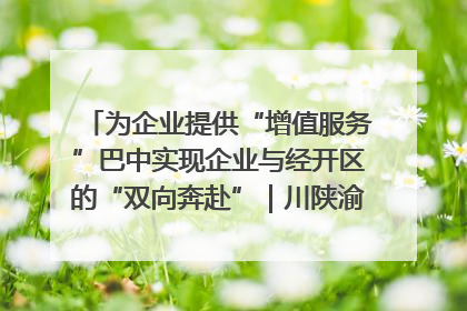 为企业提供“增值服务”巴中实现企业与经开区的“双向奔赴”｜川陕渝网络名人巴中行