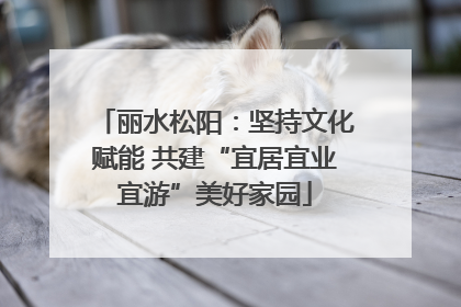 丽水松阳：坚持文化赋能 共建“宜居宜业宜游”美好家园