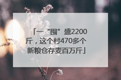 一“囤”盛2200斤，这个村470多个新粮仓存麦百万斤